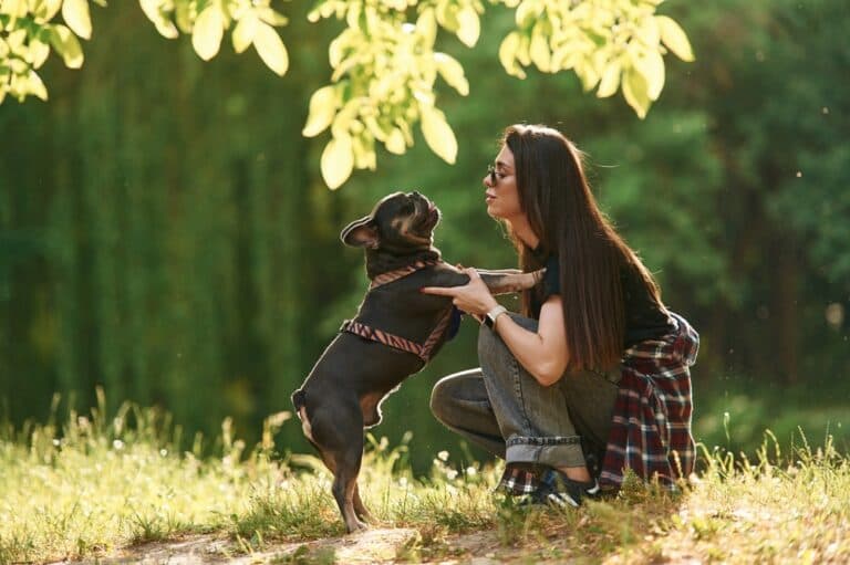 What Are The Negatives Of A French Bulldog?