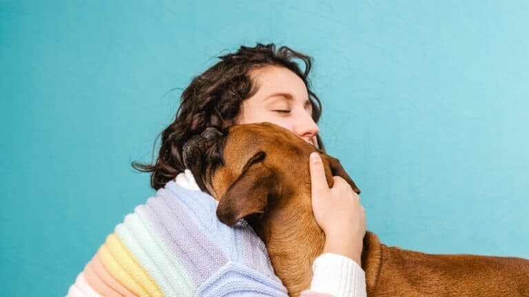 What Type Of Person Owns A Boxer Dog?