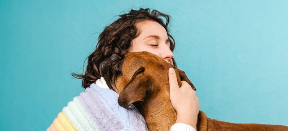 What Type Of Person Owns A Boxer Dog?