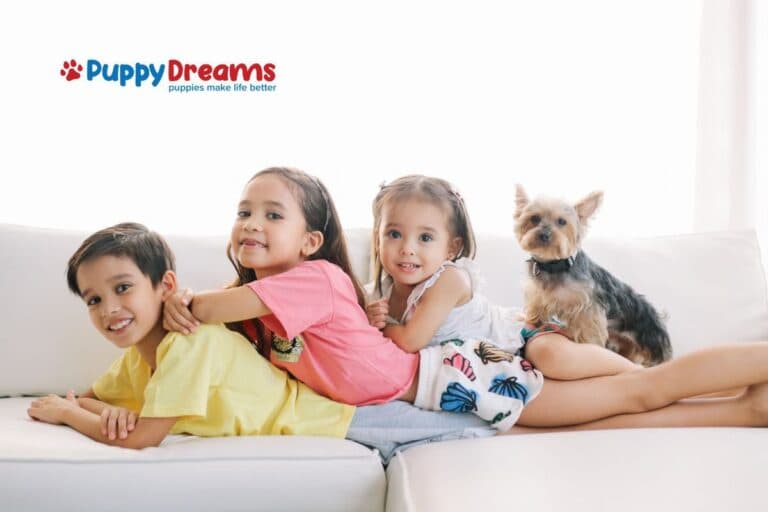 Best Small Family Dogs For Kids and Allergy Concerns?