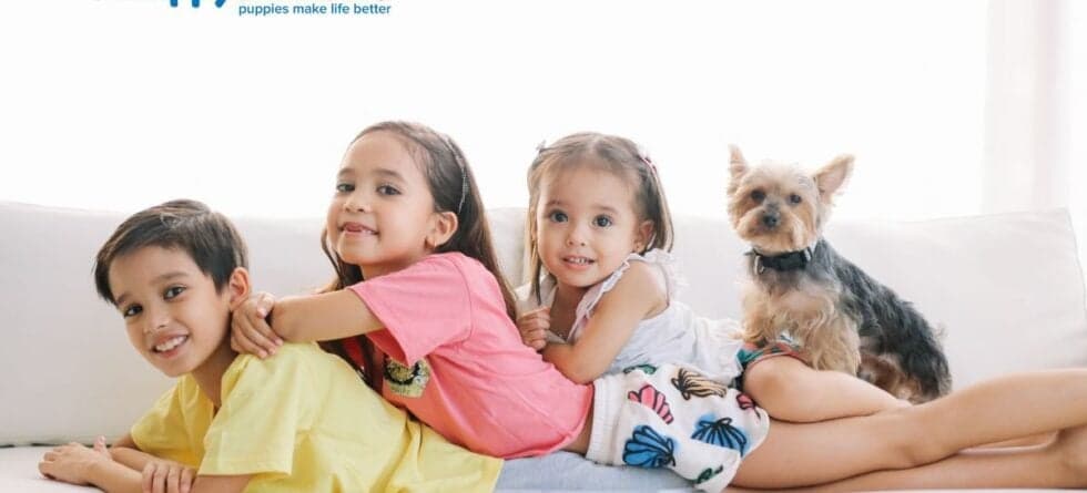 Best Small Family Dogs For Kids and Allergy Concerns?
