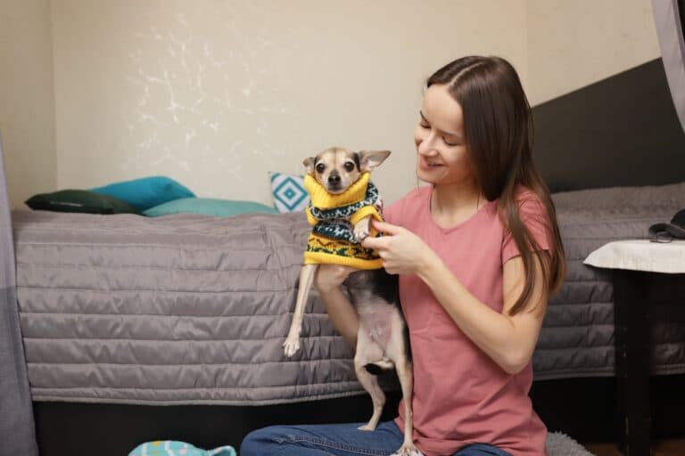 How Do I Know If My Chihuahua Is Cold?