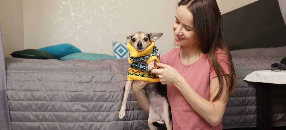 How Do I Know If My Chihuahua Is Cold?