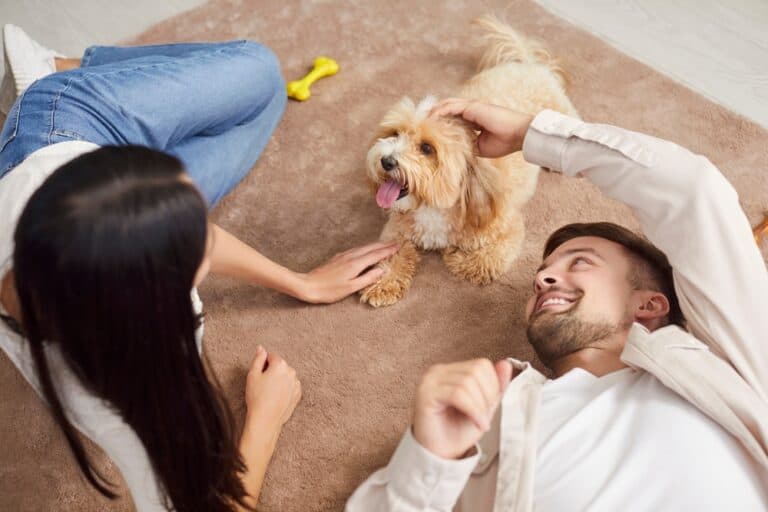 How Do You Tell If Your Dog Is Bonded To You?