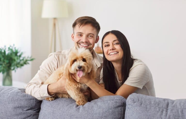 How To Make Your Poodle Love You?
