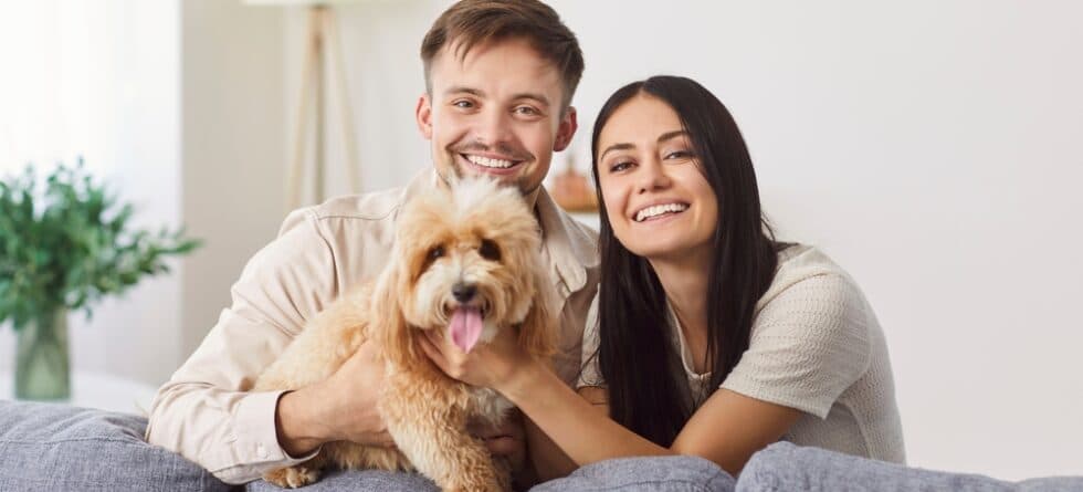 How To Make Your Poodle Love You?