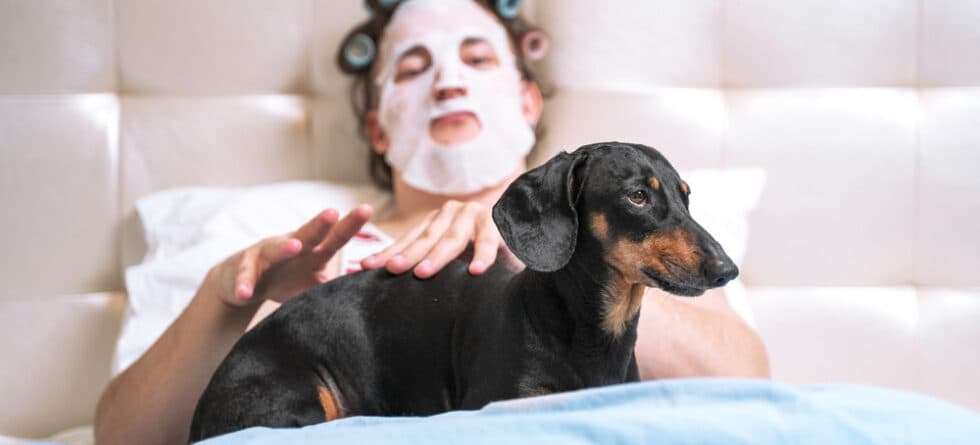 Should I Let My Dachshund Sleep With Me?