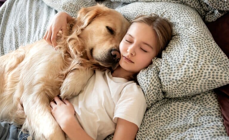 Should I Let My Golden Retriever Sleep With Me?