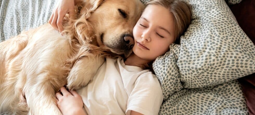 Should I Let My Golden Retriever Sleep With Me?