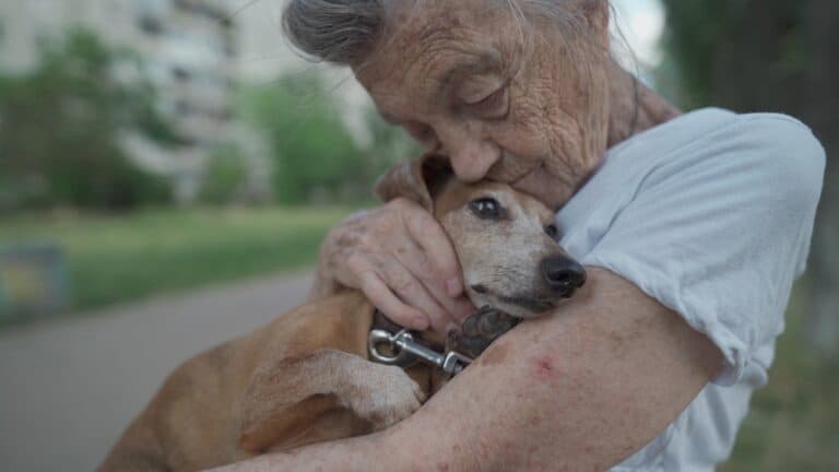 What Is The Lifespan Of A Dachshund?