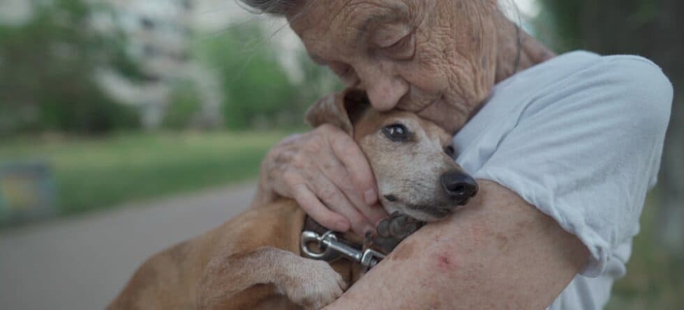 What Is The Lifespan Of A Dachshund?