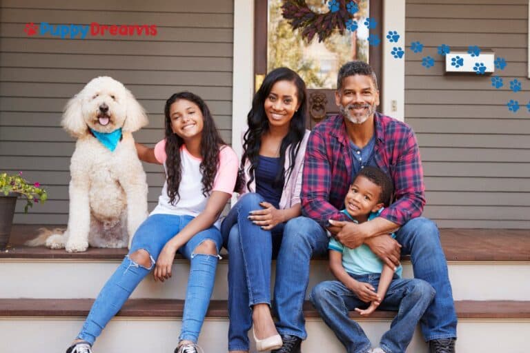 Large Dogs for Families: Are They Safe for Young Kids?