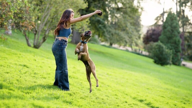 Are Boxers Always Hyper?