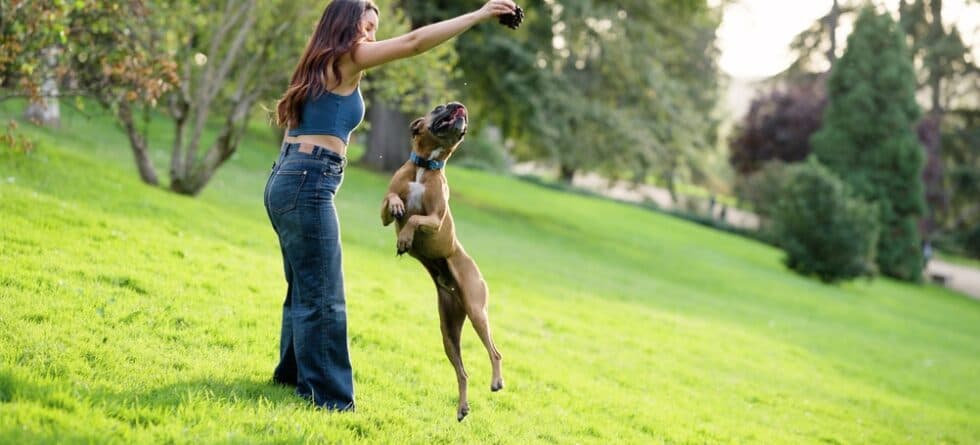 Are Boxers Always Hyper?