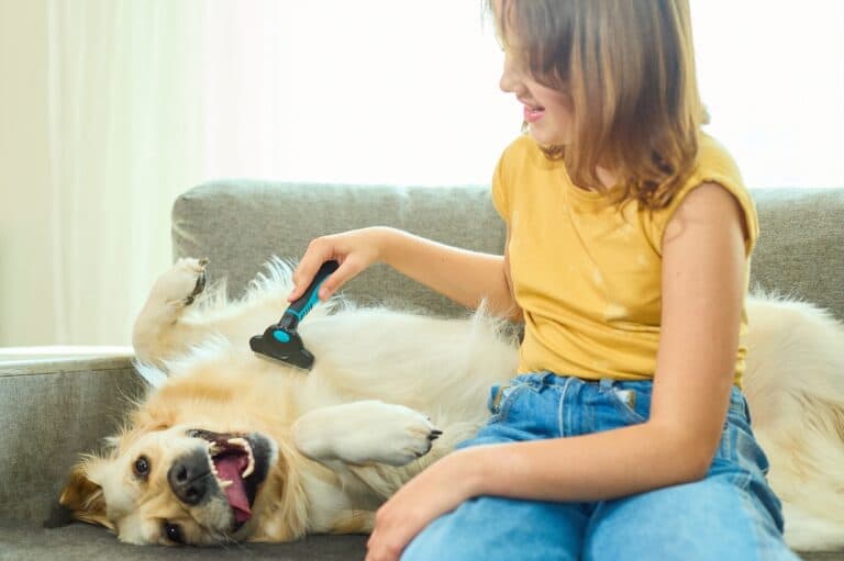 Are Golden Retrievers High Maintenance?