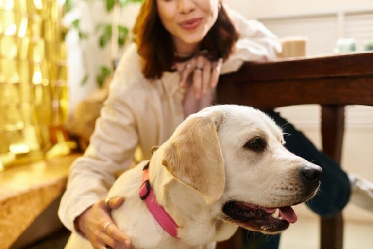 Are Labradors Hypoallergenic?