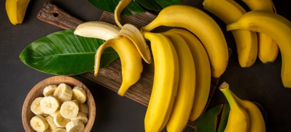 Can Dachshunds Eat Bananas?