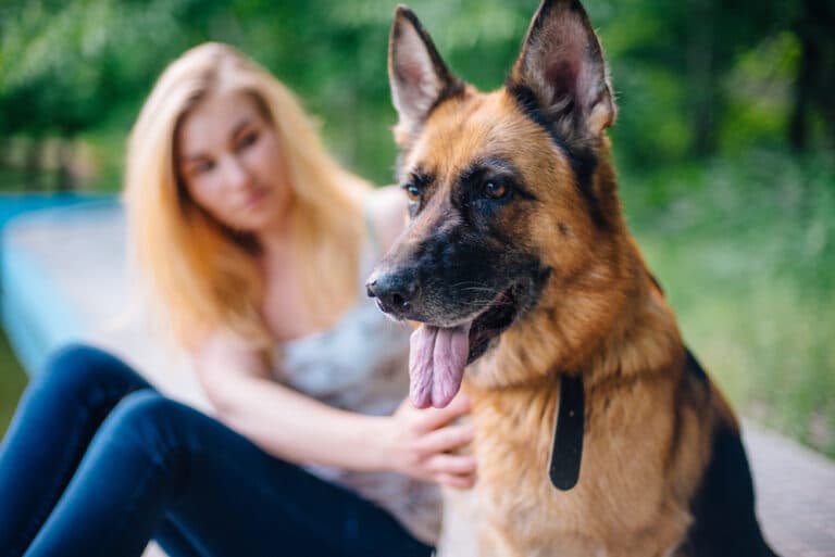 Can I Keep My German Shepherd Outside?