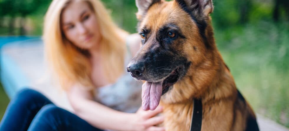 Can I Keep My German Shepherd Outside?