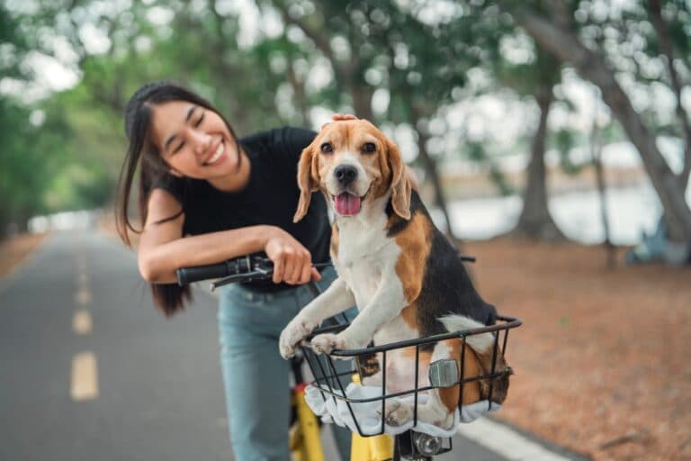 Do Beagles Make Good Dogs?