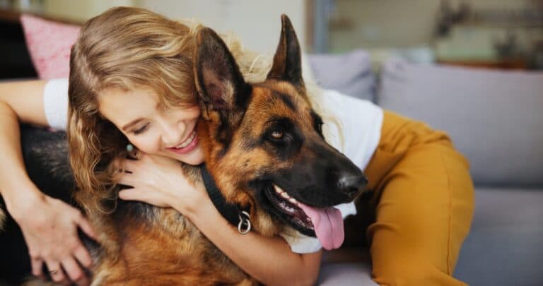 Do German Shepherds Protect You?