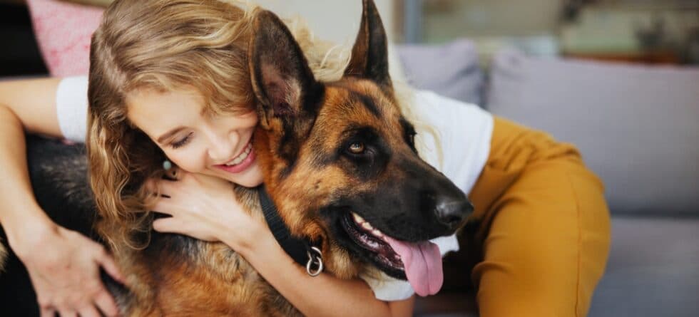 Do German Shepherds Protect You?