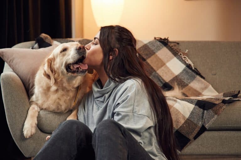 Do Golden Retrievers Like Being Kissed?