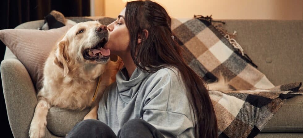 Do Golden Retrievers Like Being Kissed?