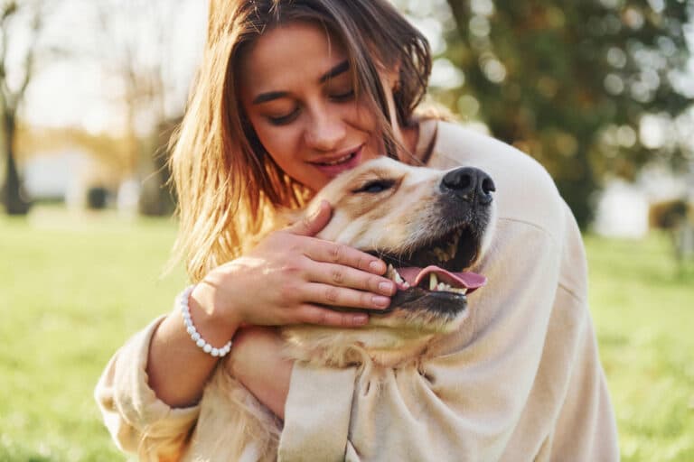 Do Labs Have A Strong Bite?