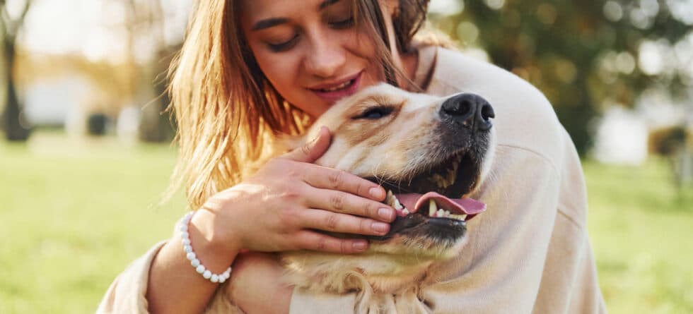 Do Labs Have A Strong Bite?