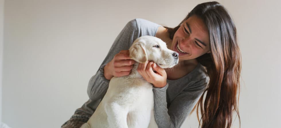 Does My Dog Know I Love Him?