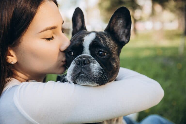 How Can I Calm My Frenchie?
