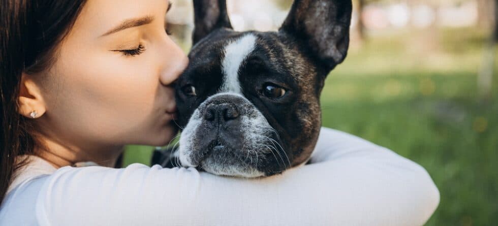 How Can I Calm My Frenchie?