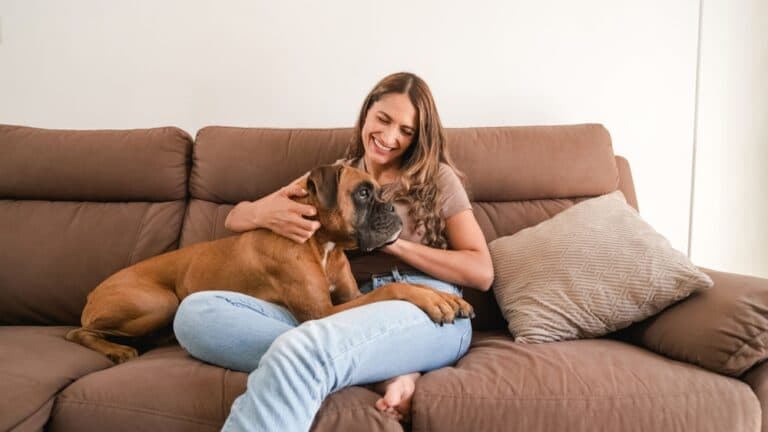 How Do I Keep My Boxer Dog Healthy?