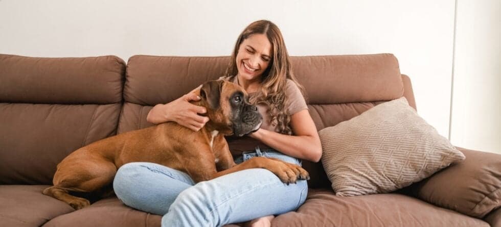 How Do I Keep My Boxer Dog Healthy?