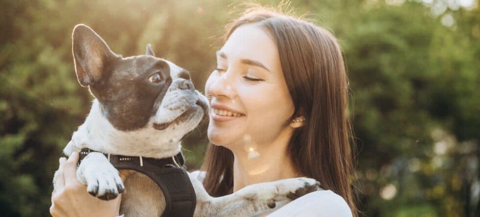 How Do I Tell If My Bulldog Loves Me?