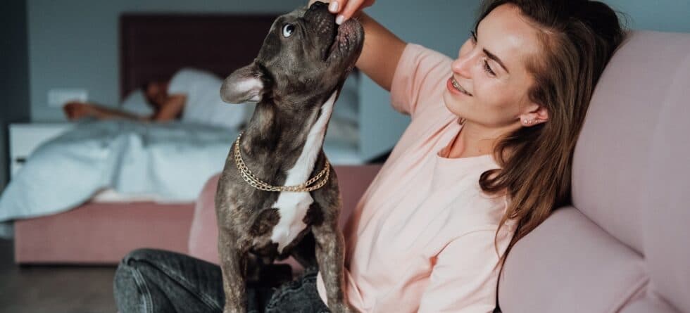 What Are Frenchies Most Allergic To?