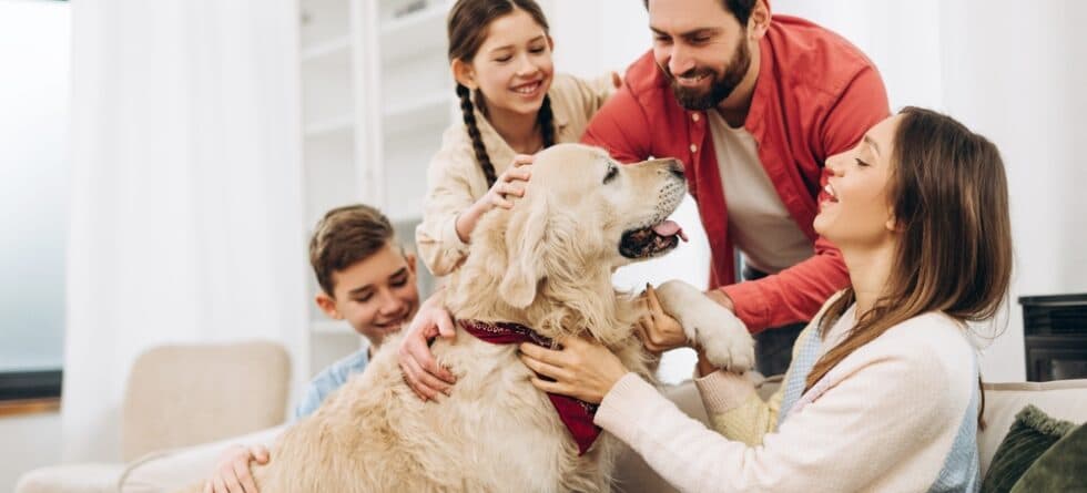 What Do Labs Love The Most?