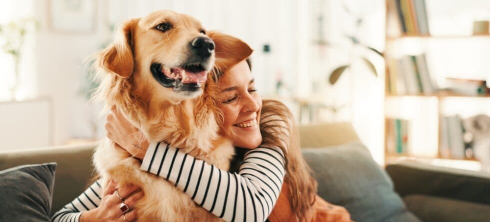 What Does It Mean To Be Described As A Golden Retriever?