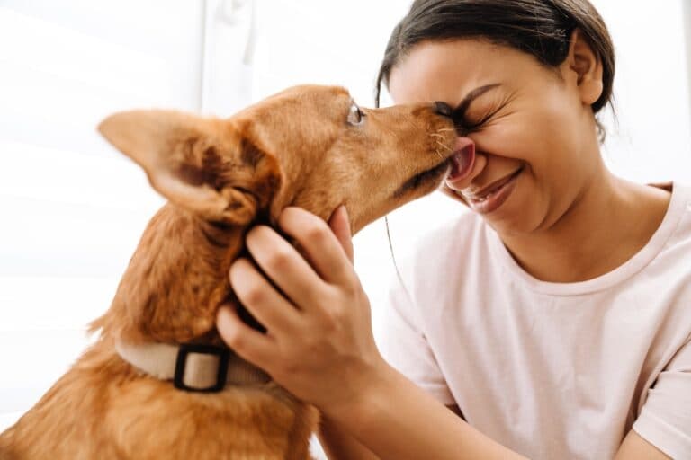 What Does It Mean When A Dog Licks You?