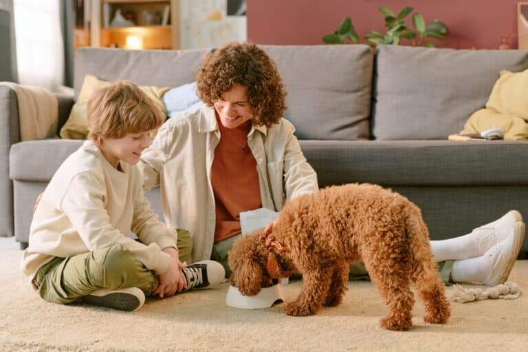 What Foods Do Poodles Love?