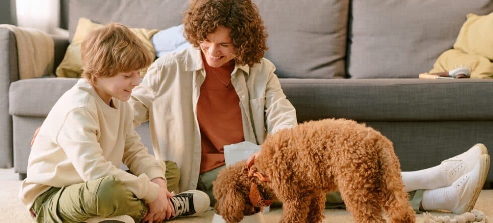 What Foods Do Poodles Love?