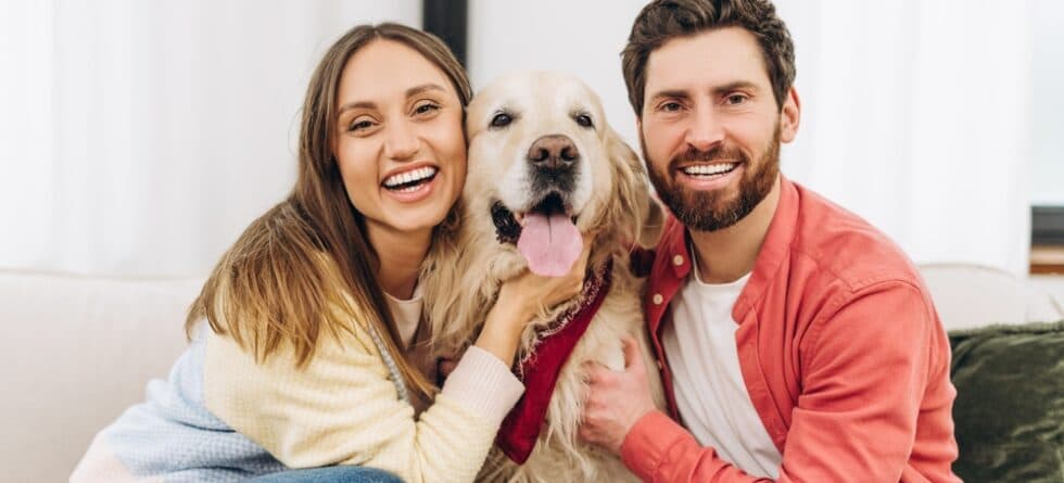 What Is The Ideal Owner For A Golden Retriever?
