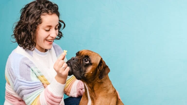 What Meals Should A Boxer Eat?