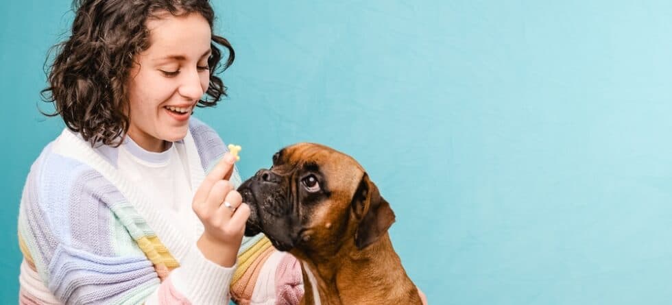 What Meals Should A Boxer Eat?