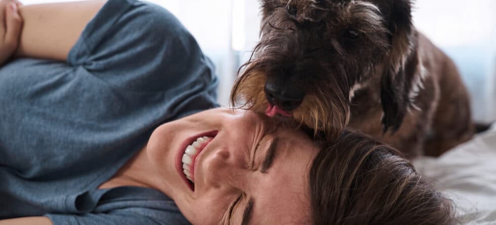 Why Does My Dachshund Lick Me So Much?