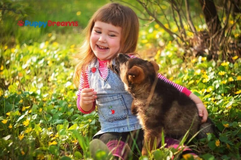 Dog Breeds for Kids: Which Breed is Best for your Family