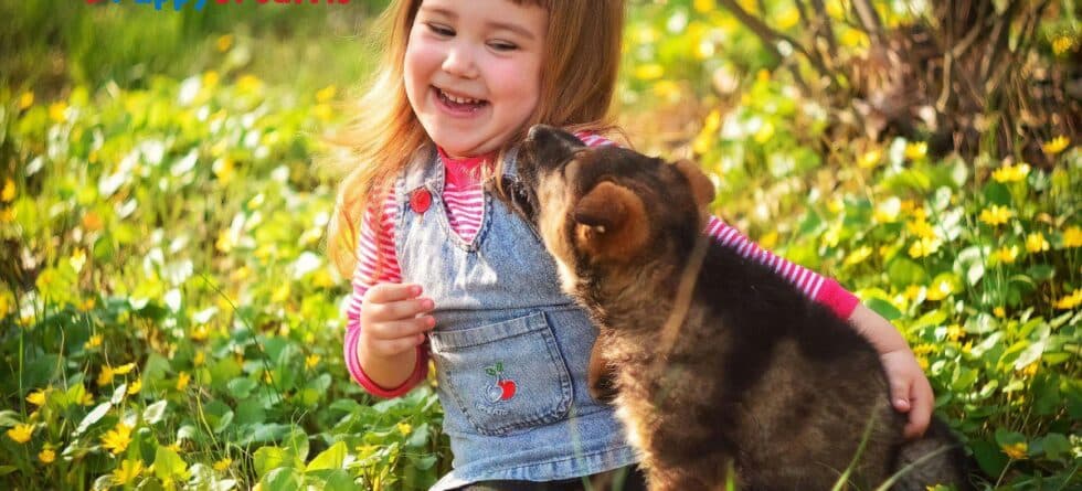 Dog Breeds for Kids: Which Breed is Best for your Family