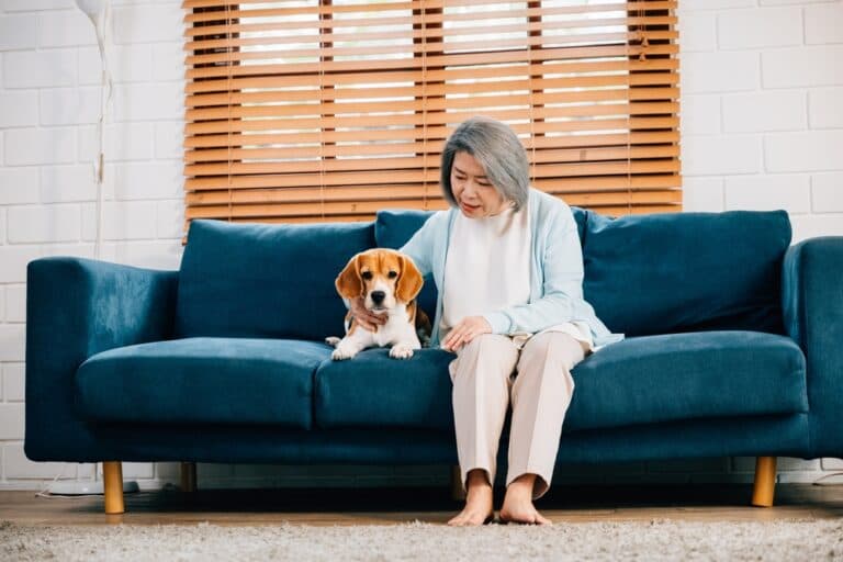 Are Beagles Clean Dogs?