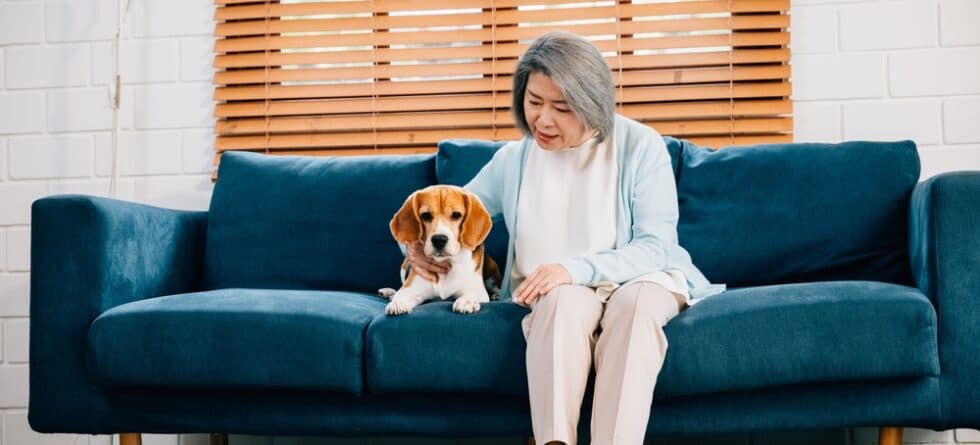 Are Beagles Clean Dogs?